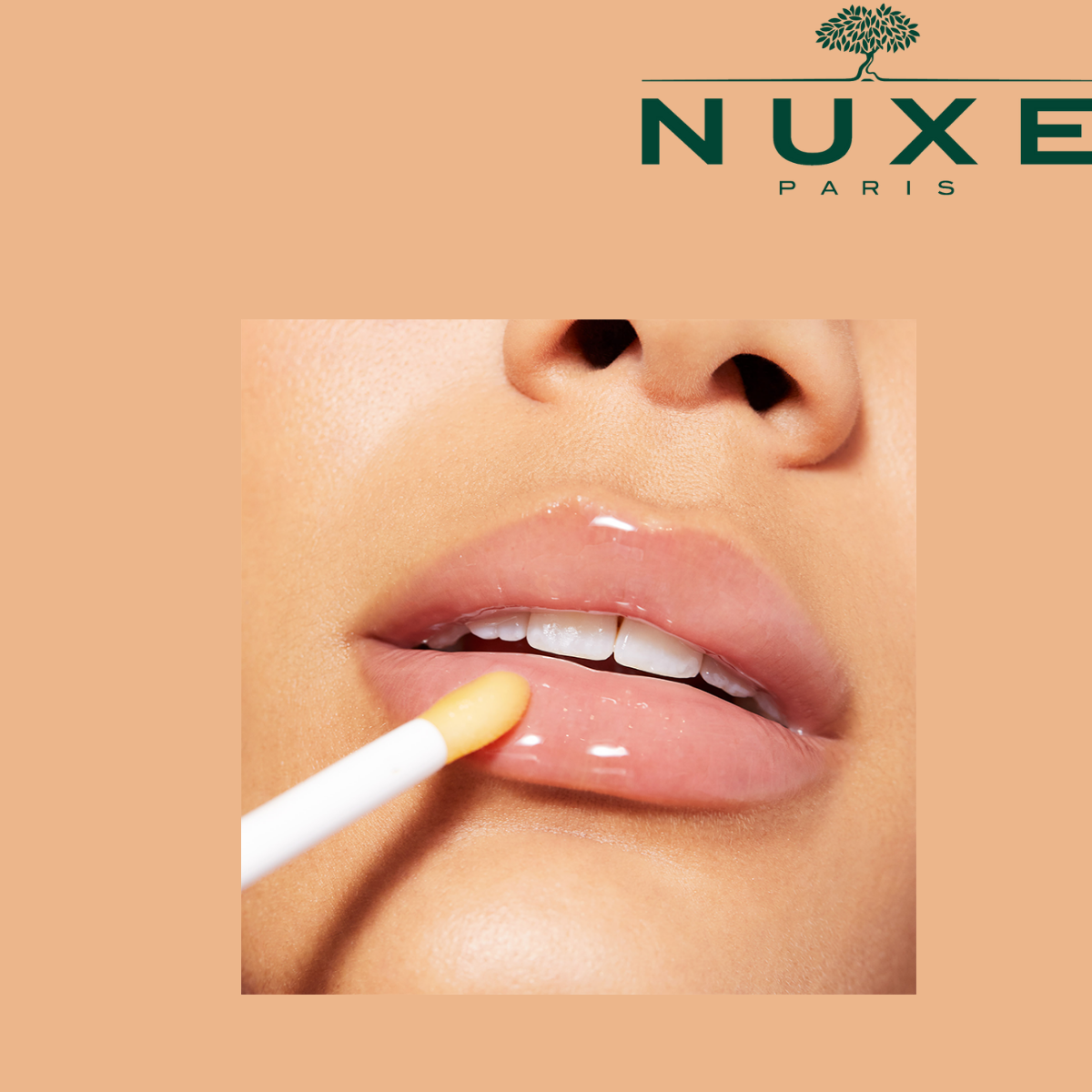 Nuxe Reve de Miel Dudak Balı 10 ml