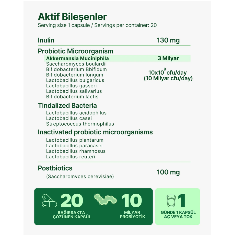 Akkermansia Muciniphila 10 Milyar Probiyotik + Postbiyotik + İnülin